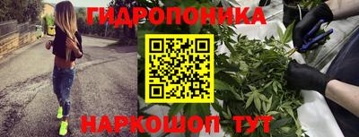 герыч Можга