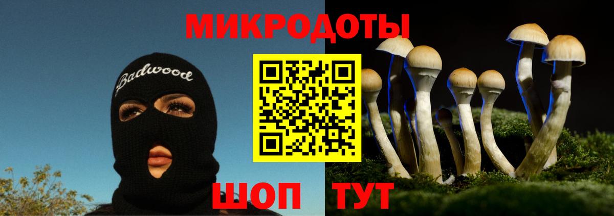 Псилоцибиновые грибы Magic Shrooms  Вход с VPN  купить наркотик  Городец 